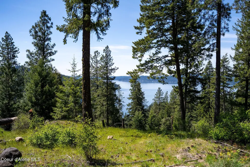 L11 B3 Hanson Road Harrison ID 83833