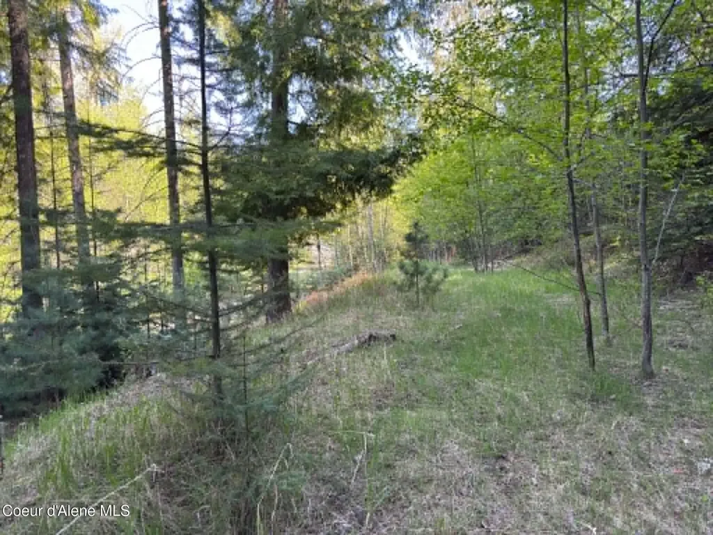 90 Shawnee Path Sagle ID 83860
