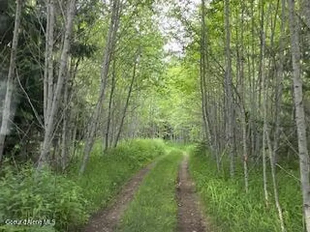 90 Shawnee Path Sagle ID 83860