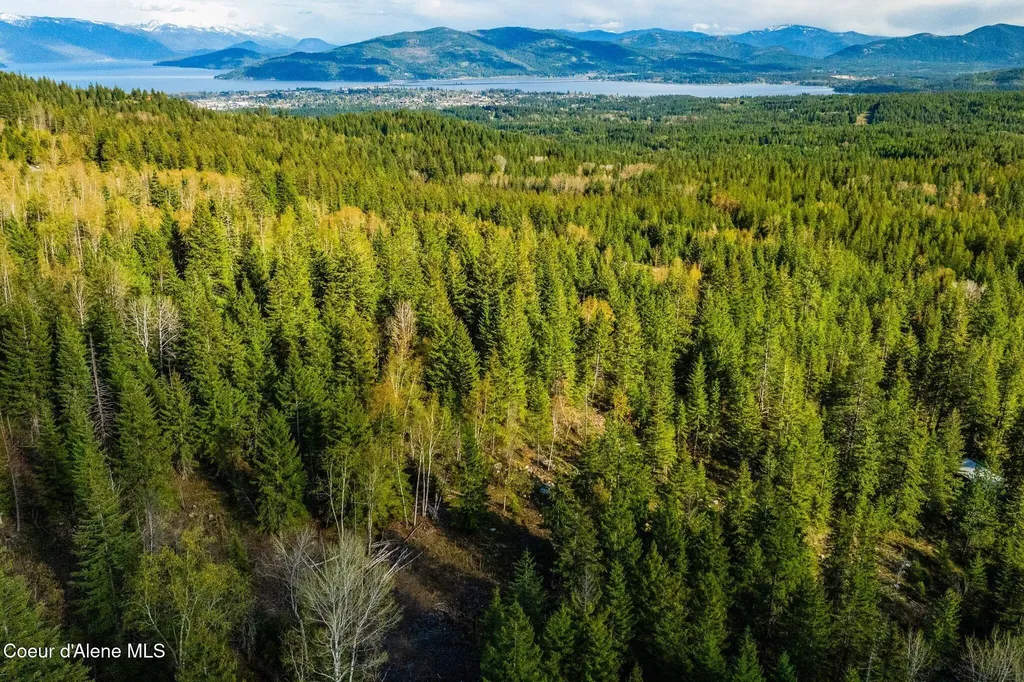 13259 Baldy Mountain Road Sandpoint ID 83864
