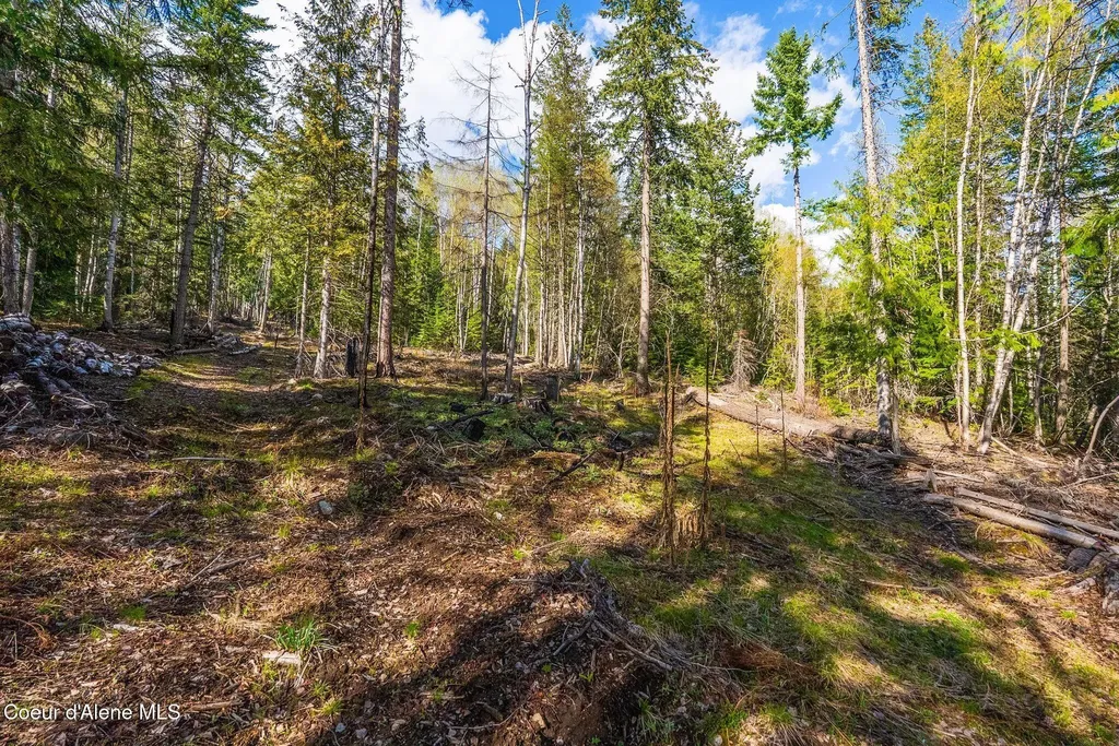 13259 Baldy Mountain Road Sandpoint ID 83864