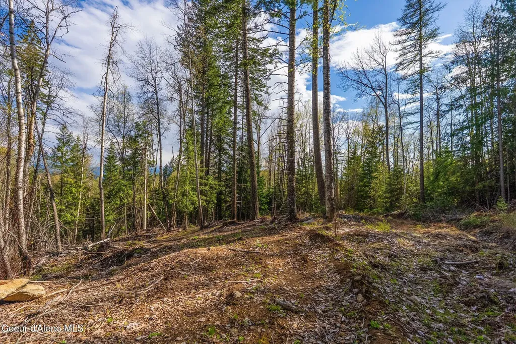13259 Baldy Mountain Road Sandpoint ID 83864