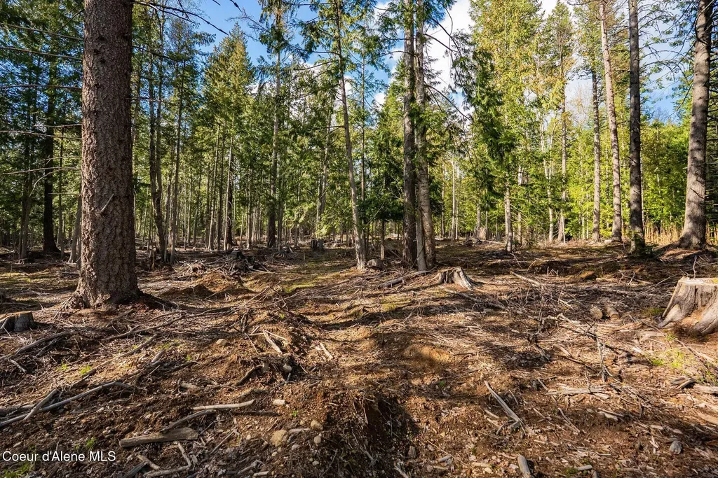 13259 Baldy Mountain Road Sandpoint ID 83864