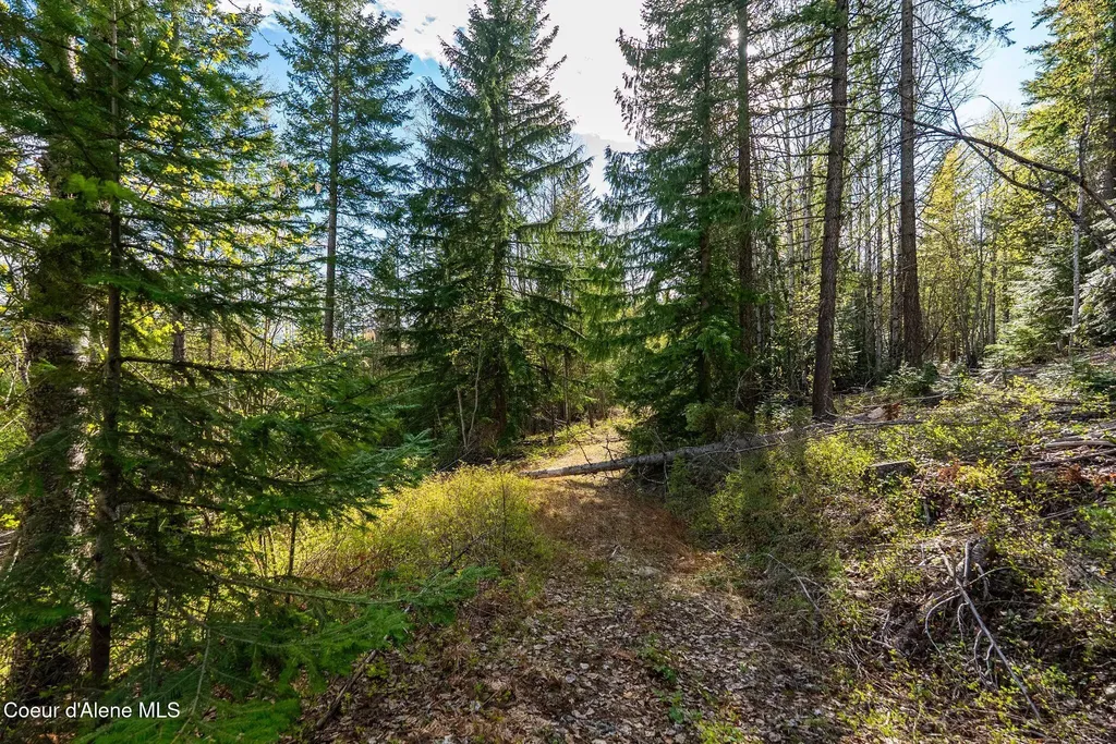 13259 Baldy Mountain Road Sandpoint ID 83864