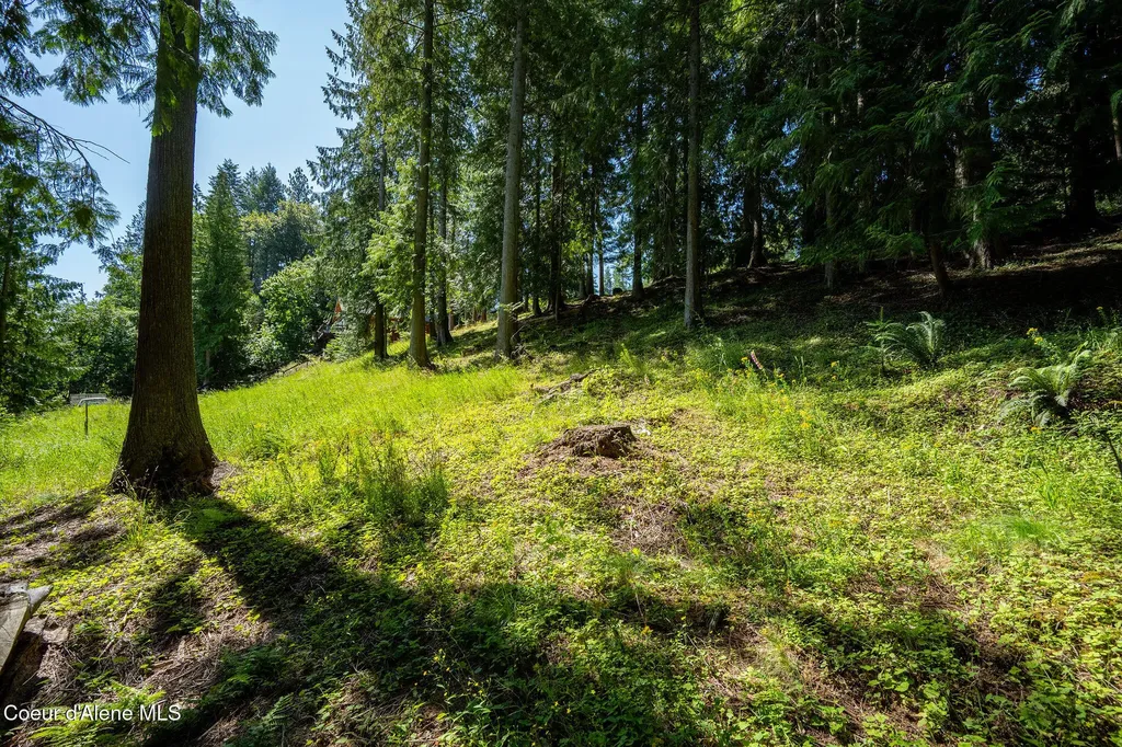 Nna Bay Drive Sagle ID 83860