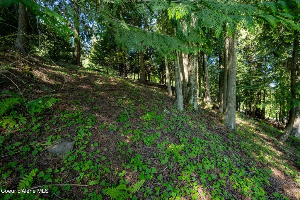 Nna Bay Drive Sagle ID 83860