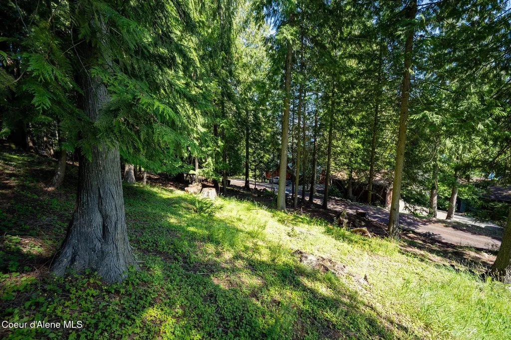 Nna Bay Drive Sagle ID 83860