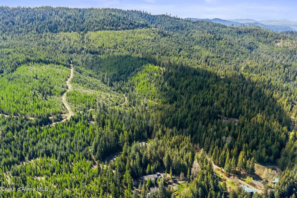 12052 S Diamond Road Harrison ID 83833