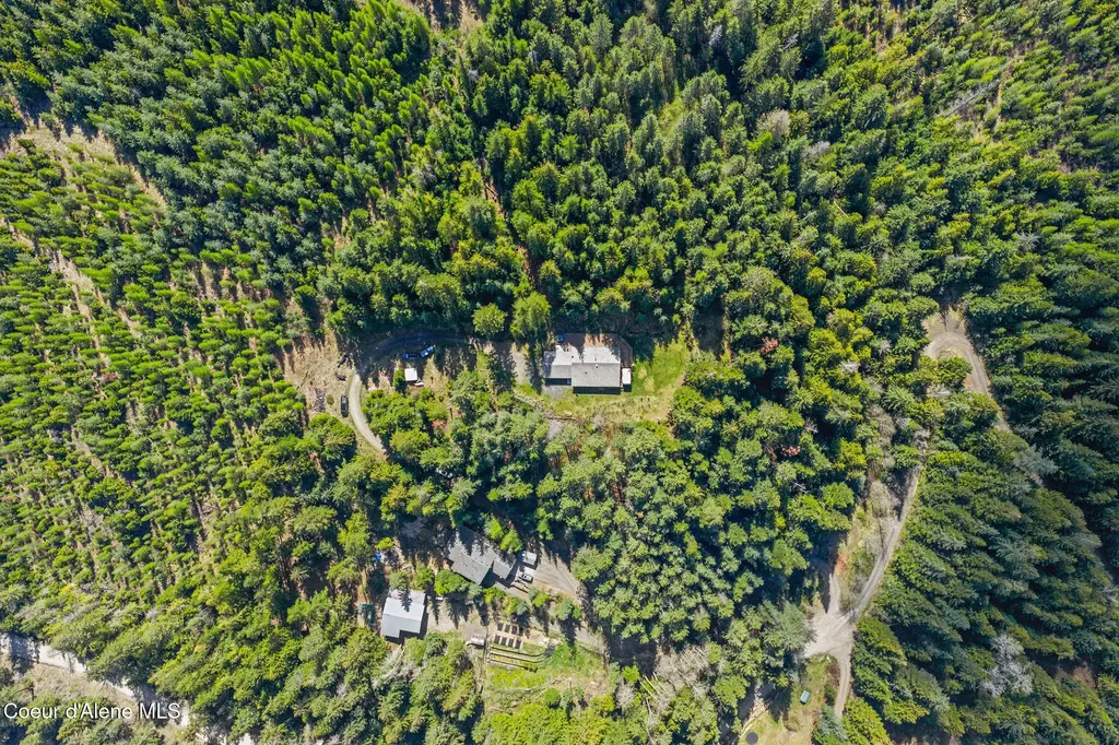 12052 S Diamond Road Harrison ID 83833