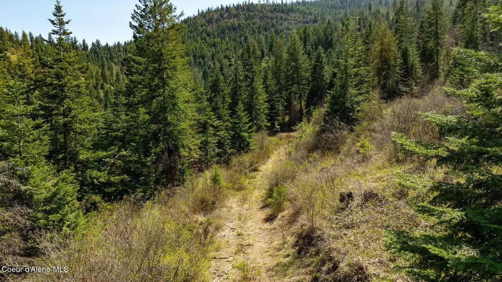 11817 W Garrett Court Post Falls ID 83854
