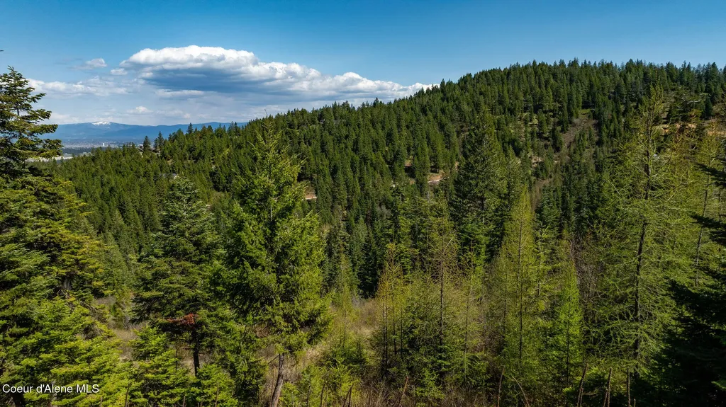 11817 W Garrett Court Post Falls ID 83854