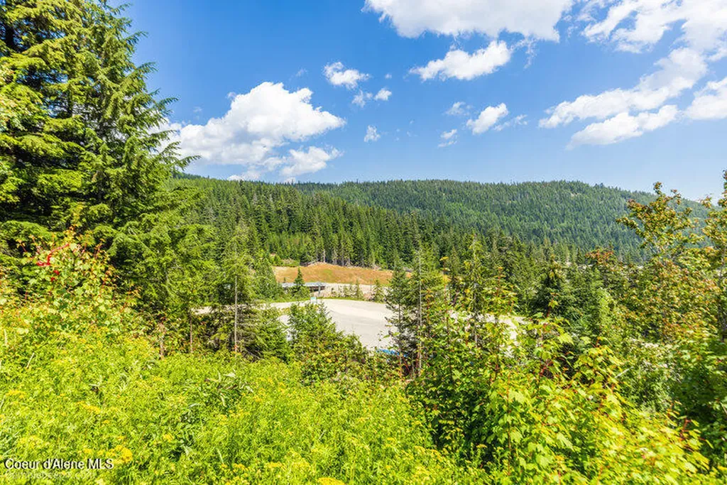 614 Telemark Road Sandpoint ID 83864