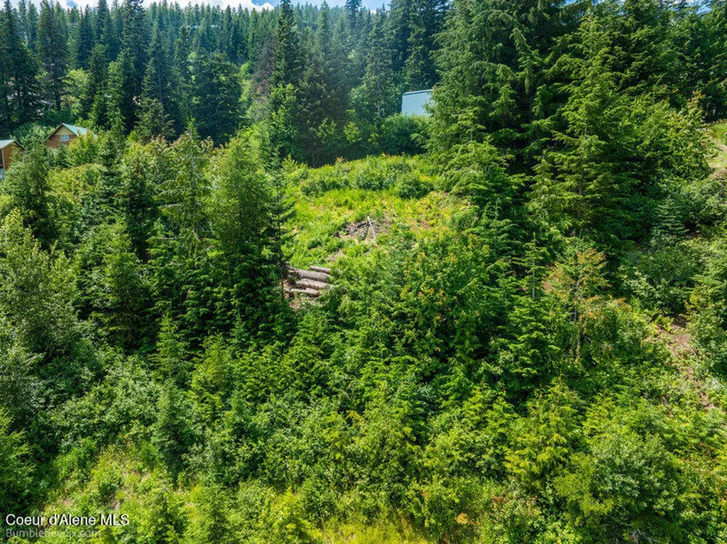 614 Telemark Road Sandpoint ID 83864