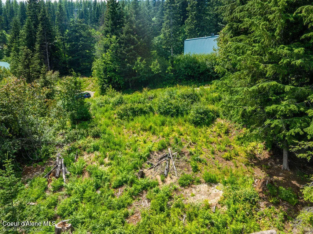 614 Telemark Road Sandpoint ID 83864