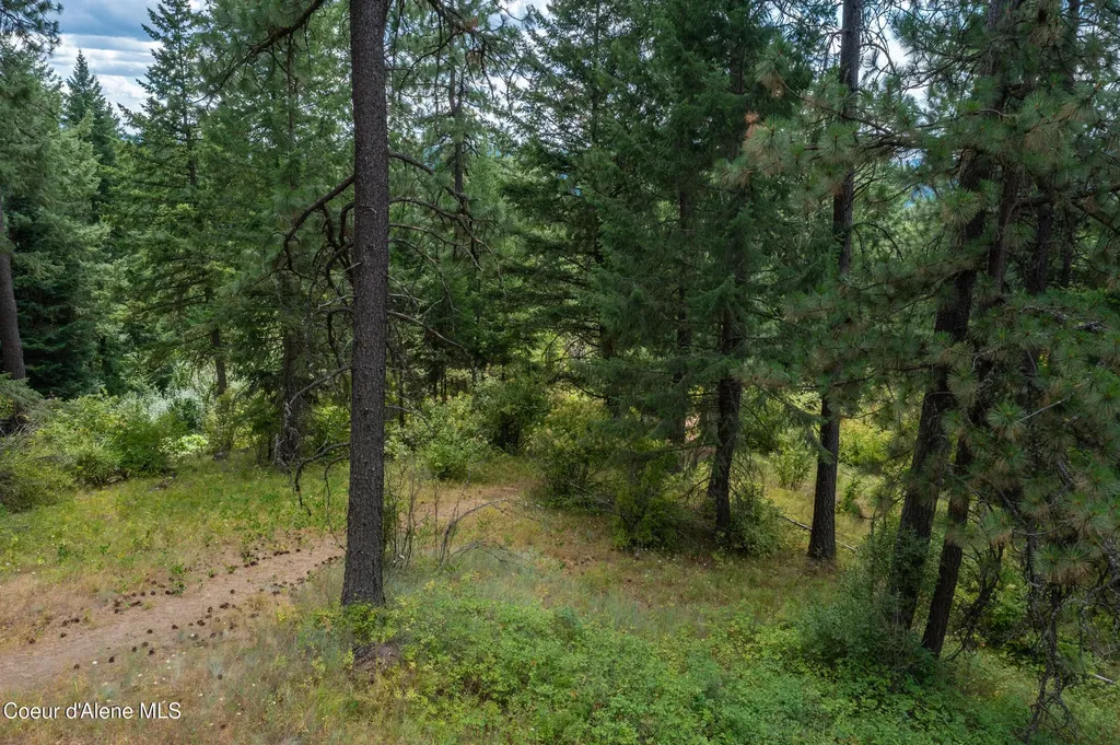 Nna Smith Street Rathdrum ID 83858