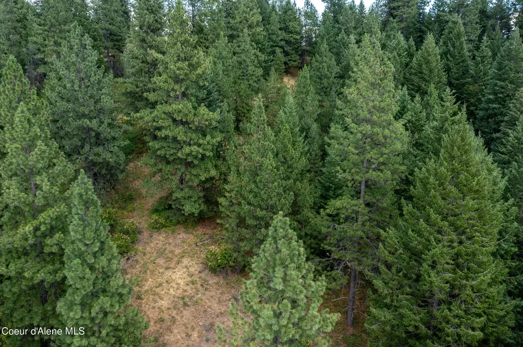 Nna Smith Street Rathdrum ID 83858