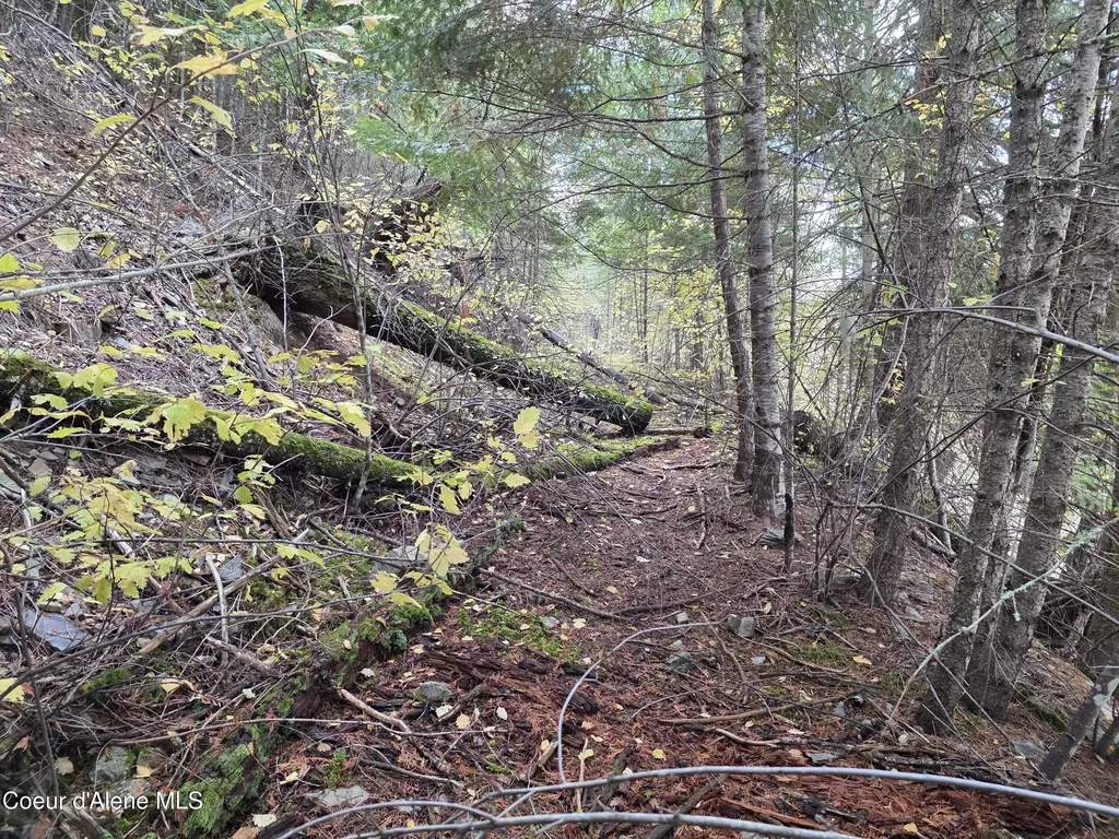 10755 Old River Road Kingston ID 83839