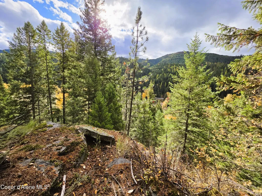 10755 Old River Road Kingston ID 83839