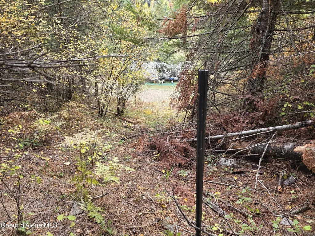 10755 Old River Road Kingston ID 83839