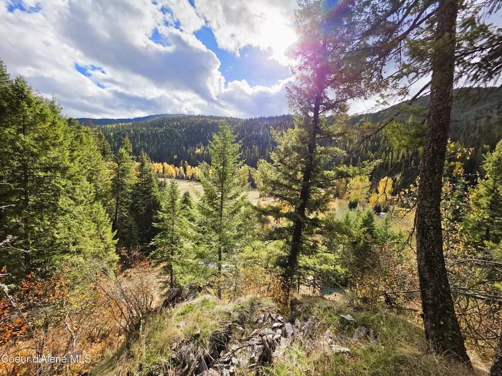 10755 Old River Road Kingston ID 83839