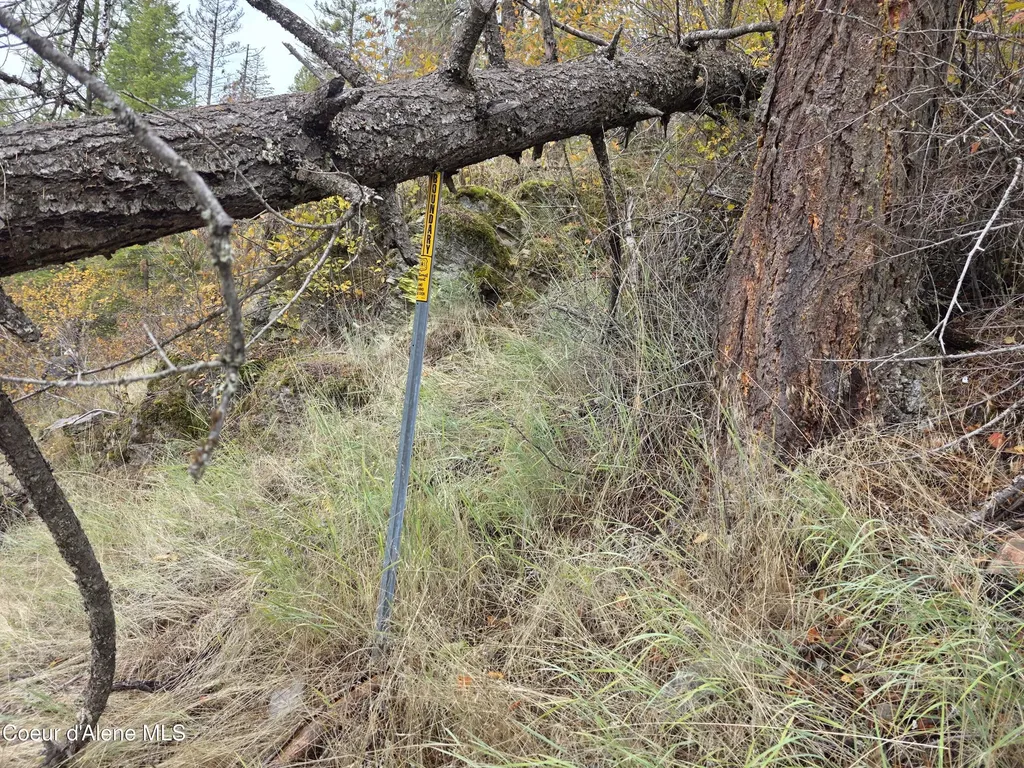 10755 Old River Road Kingston ID 83839