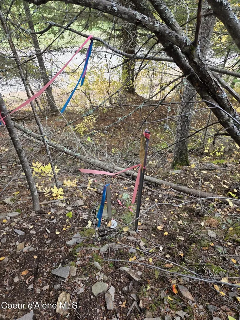 10755 Old River Road Kingston ID 83839
