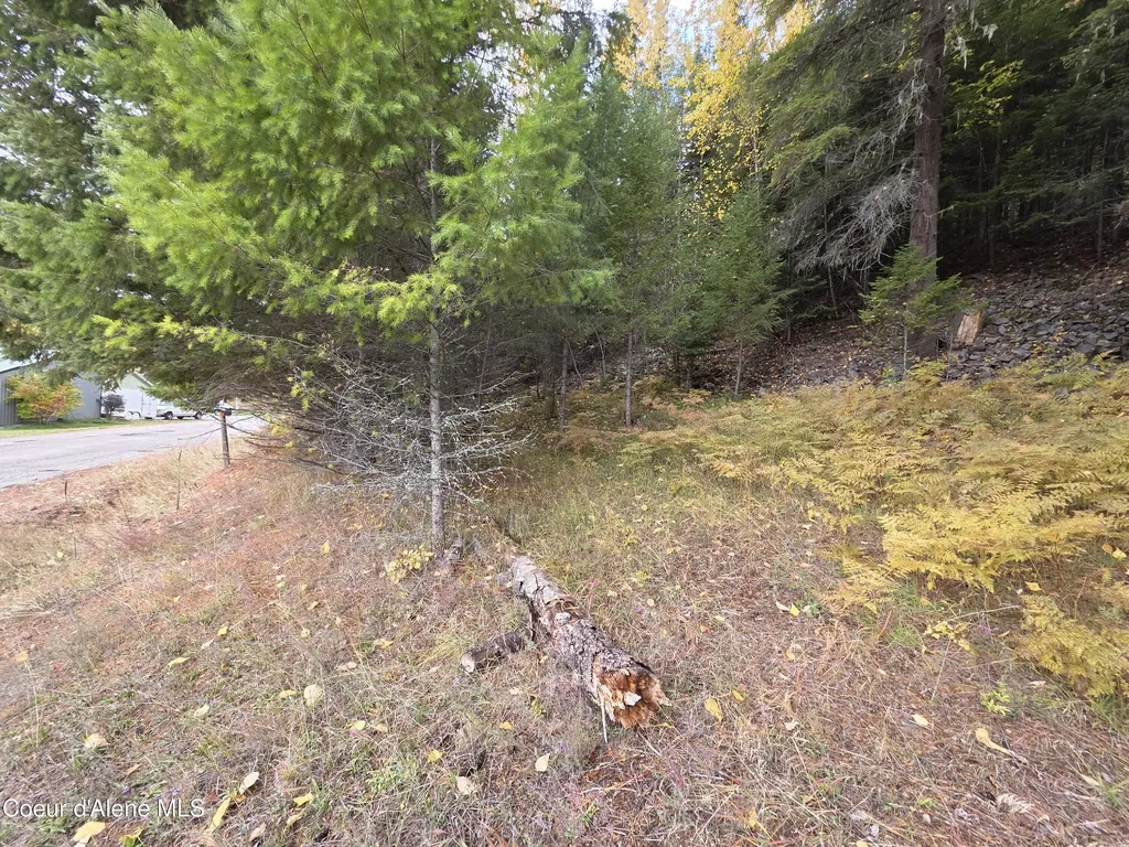 10755 Old River Road Kingston ID 83839