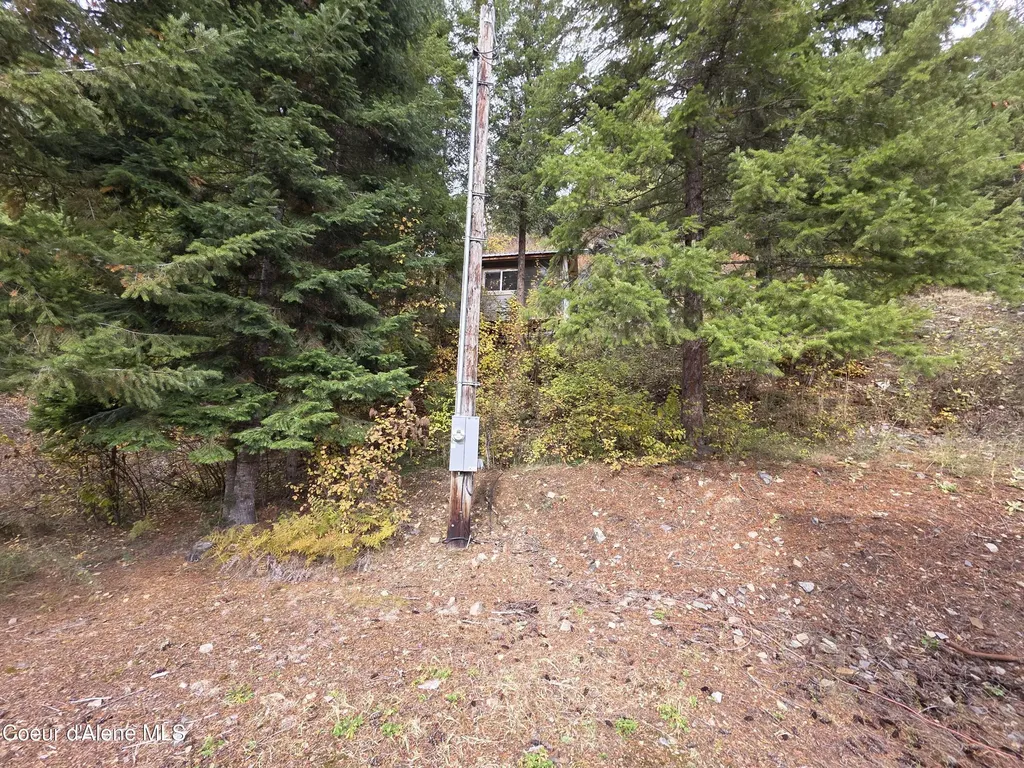 10755 Old River Road Kingston ID 83839