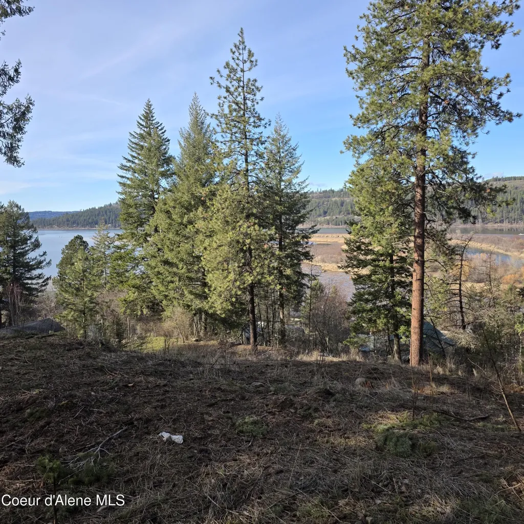 Nka Garfeild Harrison ID 83833