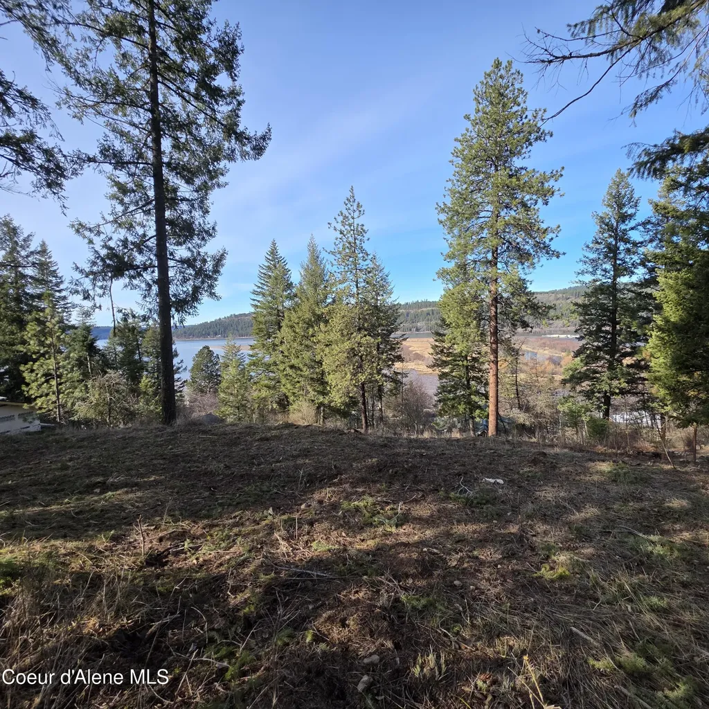 Nka Garfeild Harrison ID 83833