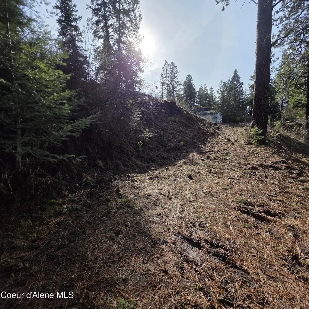 Nka Garfeild Harrison ID 83833