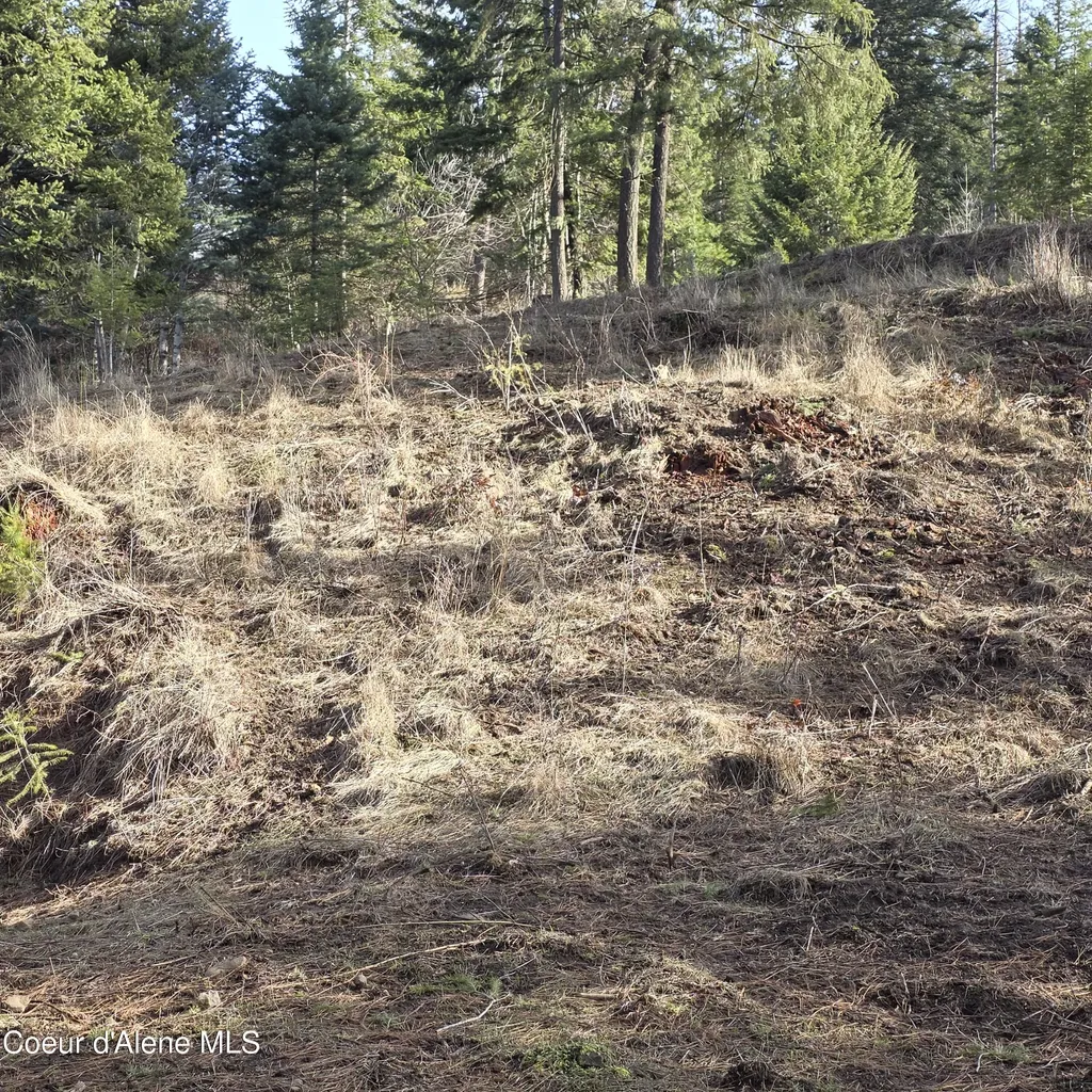 Nka Garfeild Harrison ID 83833
