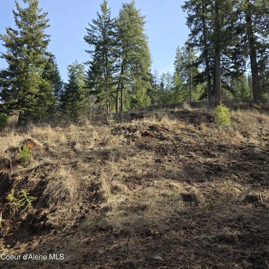 Nka Garfeild Harrison ID 83833