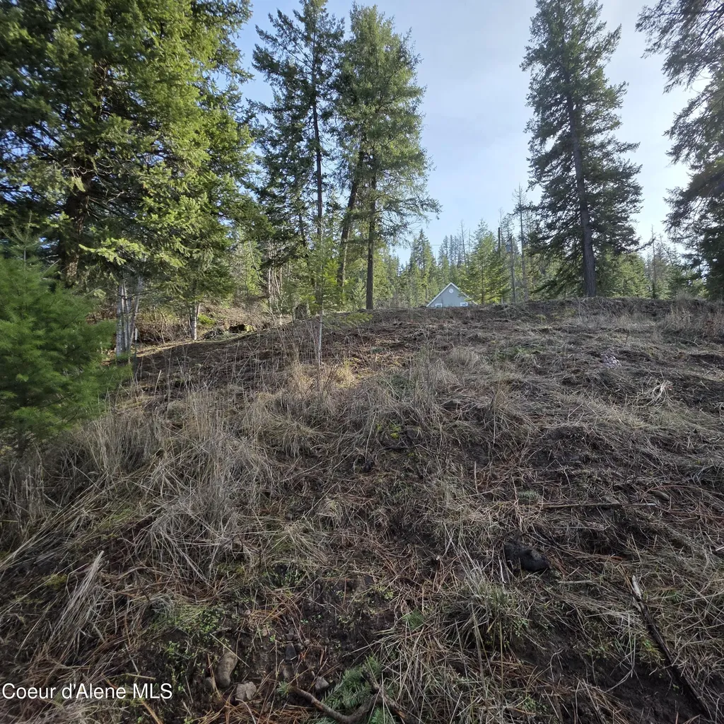 Nka Garfeild Harrison ID 83833