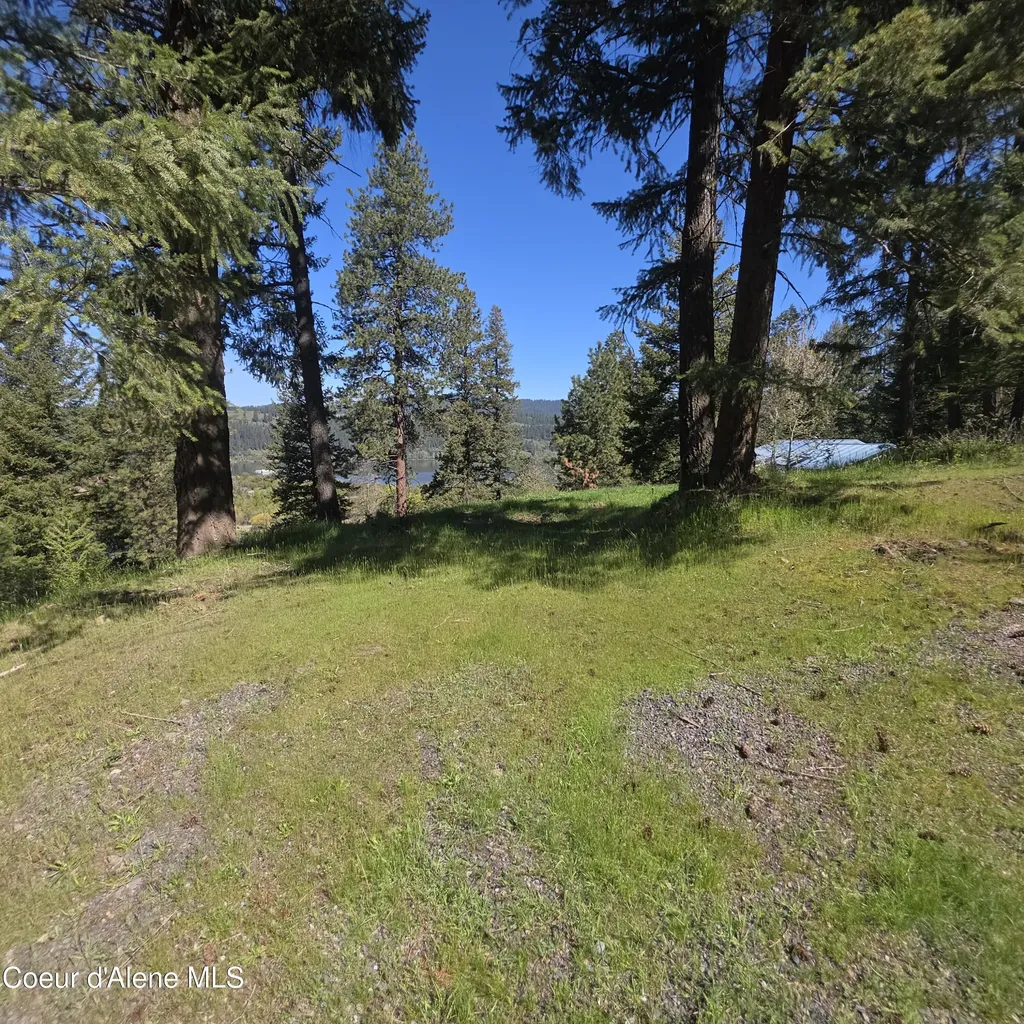 Nka Garfeild Harrison ID 83833