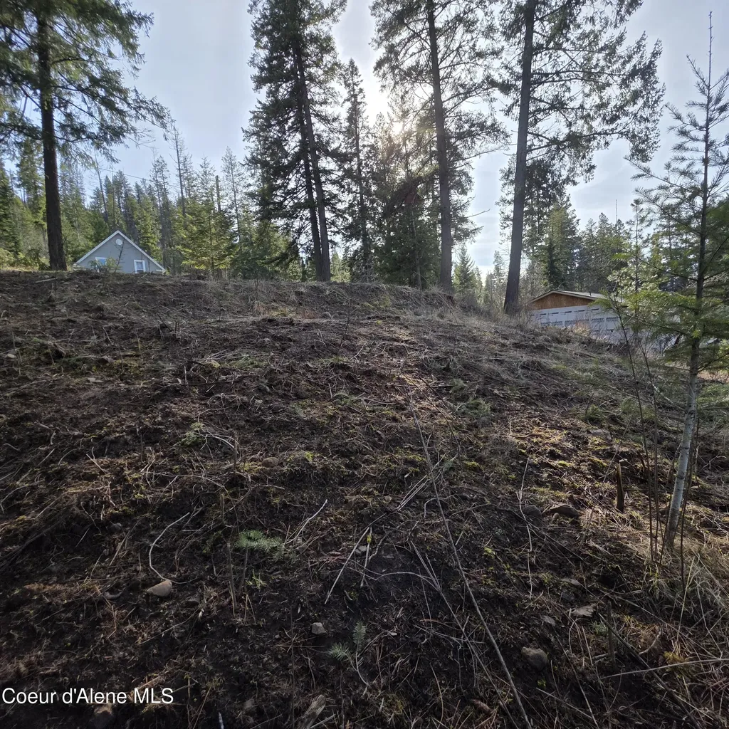 Nka Garfeild Harrison ID 83833