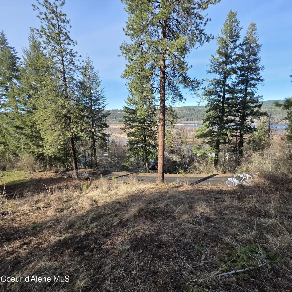 Nka Garfeild Harrison ID 83833