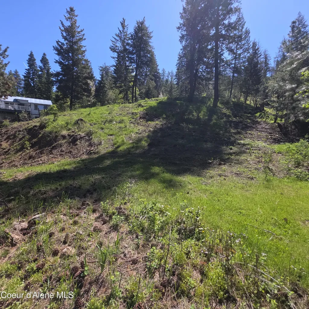 Nka Garfeild Harrison ID 83833
