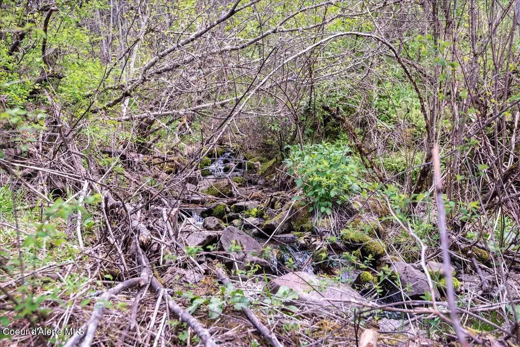 Nna N Corbin Hill Road Hayden ID 83835