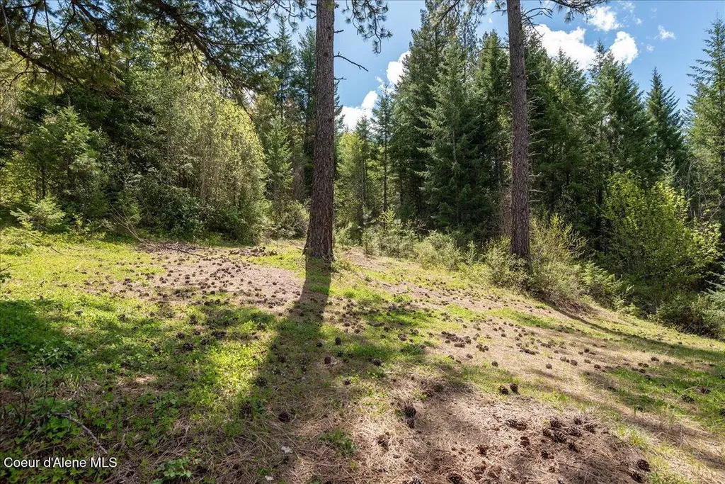 Nna N Corbin Hill Road Hayden ID 83835