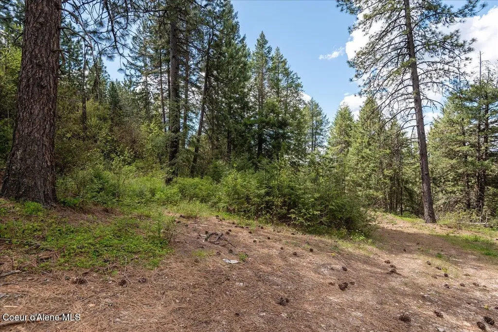 Nna N Corbin Hill Road Hayden ID 83835