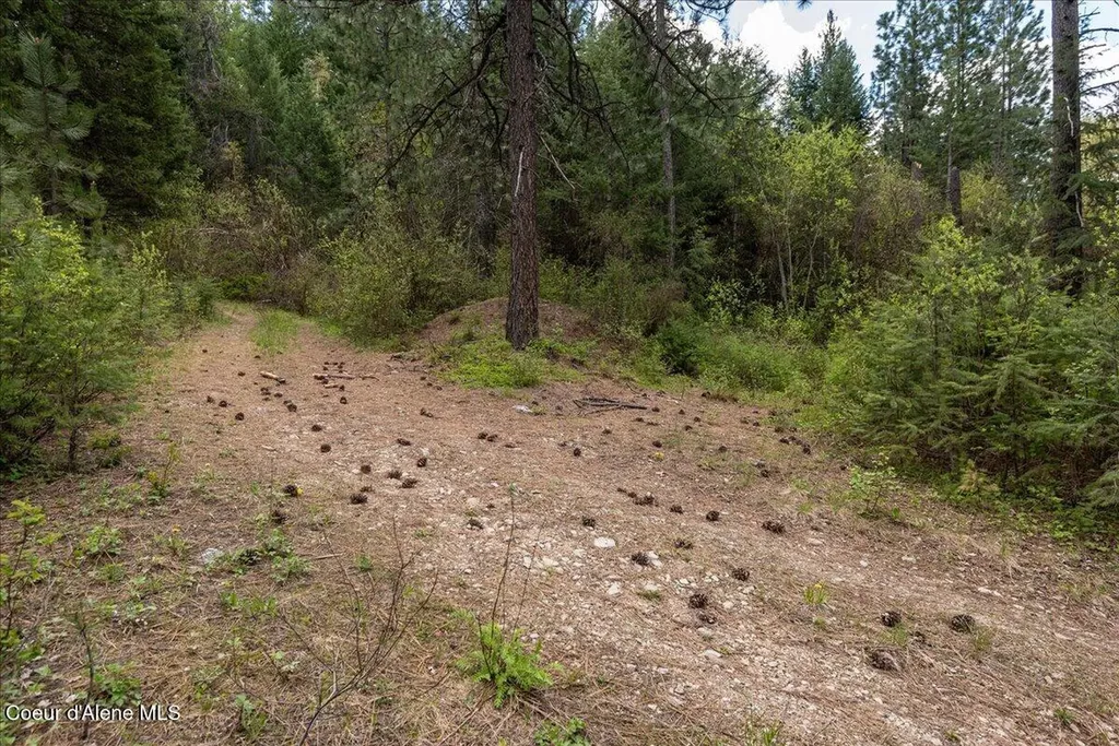 Nna N Corbin Hill Road Hayden ID 83835