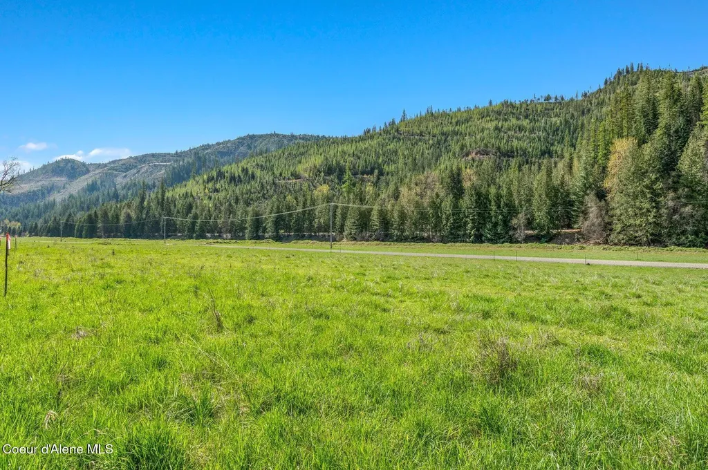 L6 Horn Hooked Estates St. Maries ID 83861