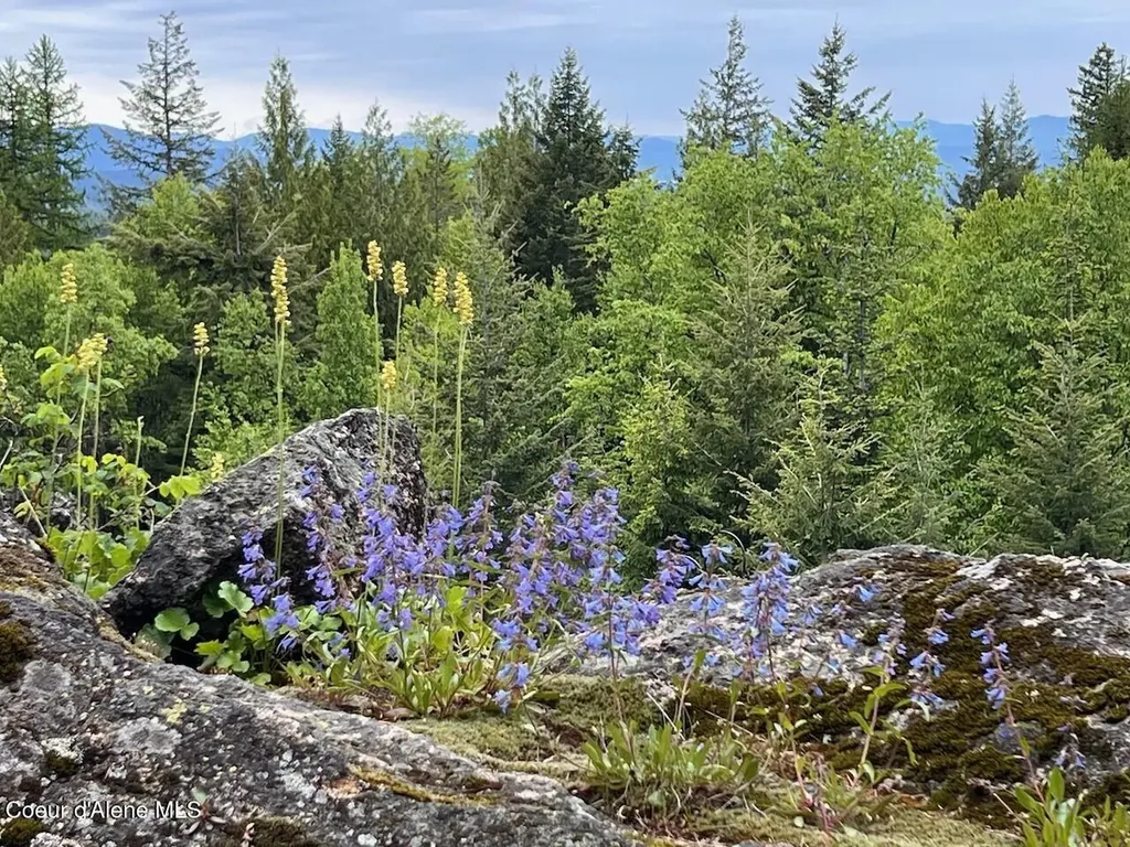 1298 Raven Ridge Road Sandpoint ID 83864