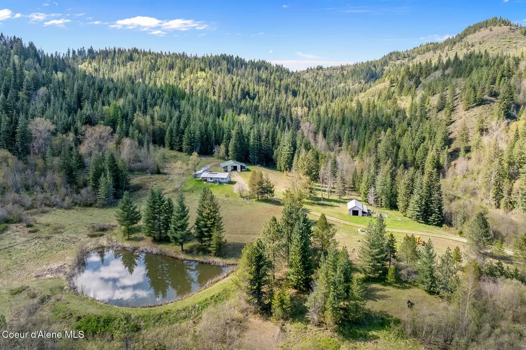 1791 Pup Paw Trail Priest River ID 83856