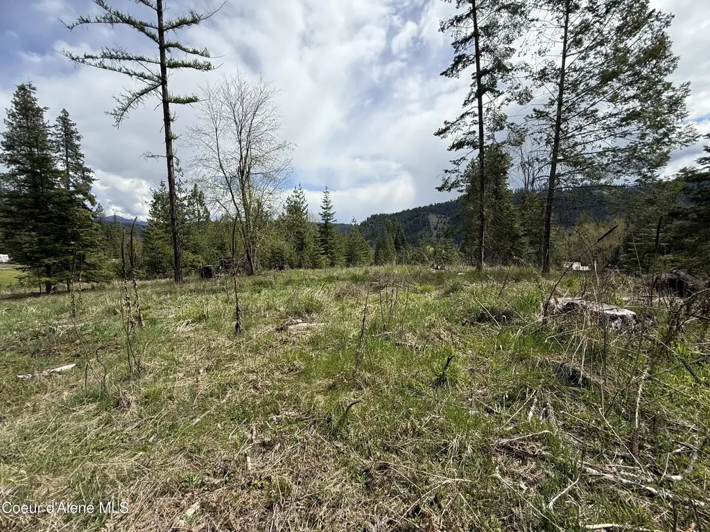 Nka Lot #1 Saint Maries River Road St. Maries ID 83861