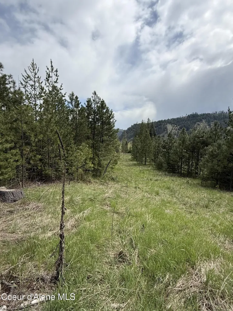 Nka Lot #1 Saint Maries River Road St. Maries ID 83861