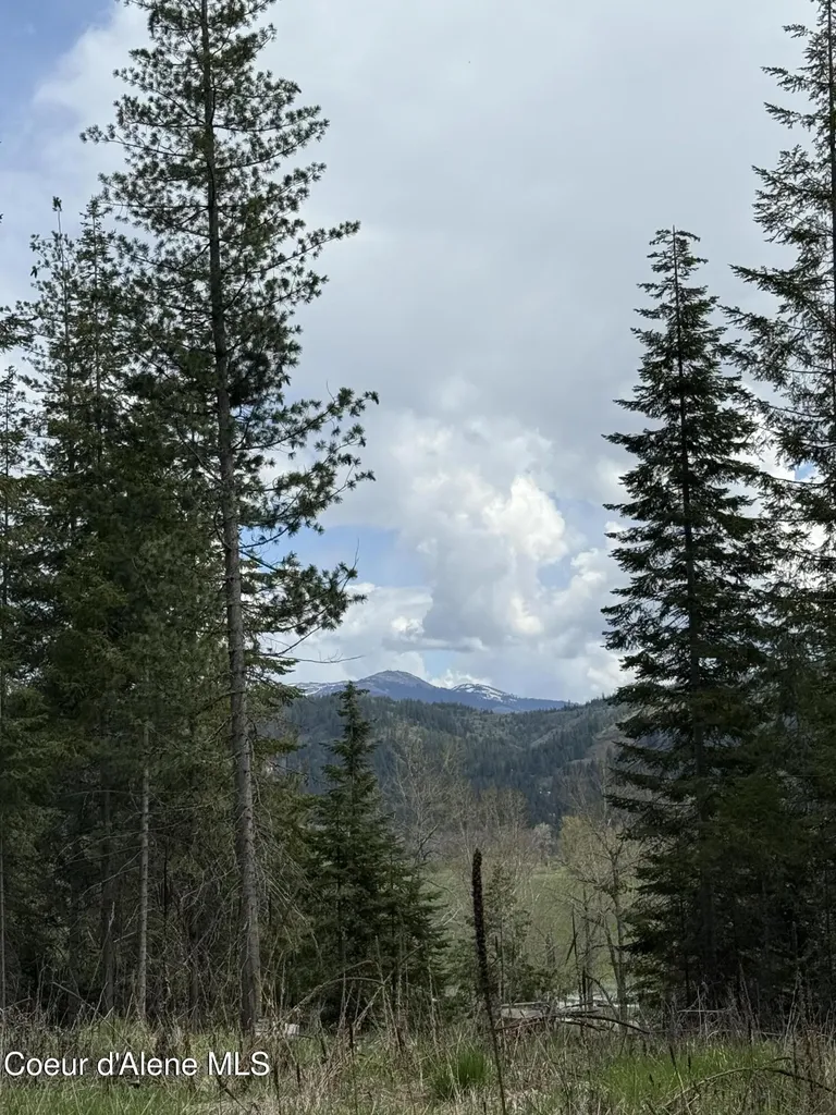 Nka St..maries River Road Lot #5 St. Maries ID 83861