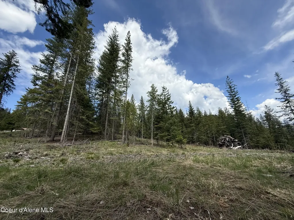 Nka St..maries River Road Lot #5 St. Maries ID 83861