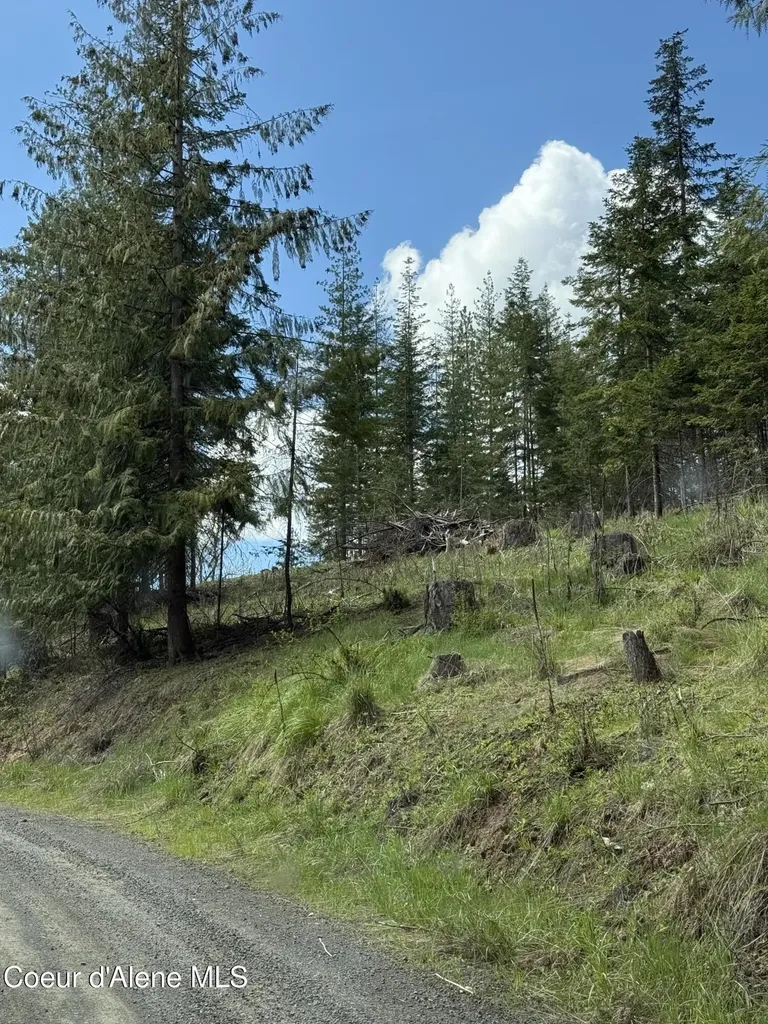 Nka St..maries River Road Lot #5 St. Maries ID 83861